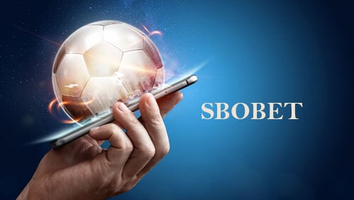 Ưu điểm đặc biệt giúp Sbobet Suncity được người chơi lựa chọn đông đảo